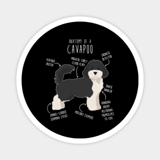 Parti Cavapoo Dog Anatomy Magnet